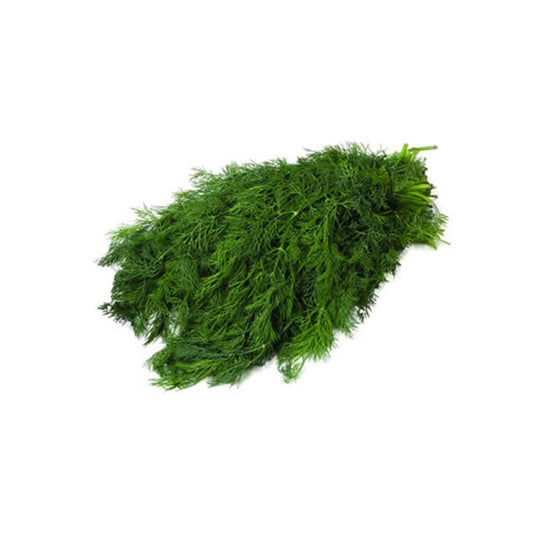 Dill – Dereotu Bund