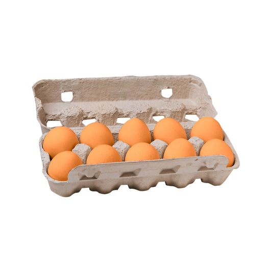 Frische Eier 10 Stück / Taze Yumurta 10’lu Paket