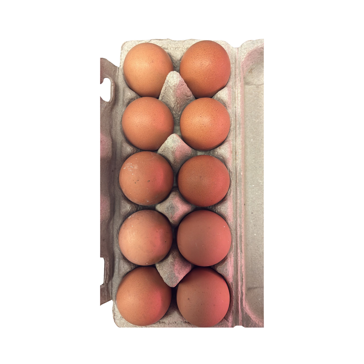 Frische Eier 10 Stück / Taze Yumurta 10’lu Paket